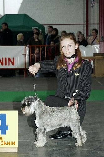 gal/Expo_janvier_2006/DSC_5532.jpg