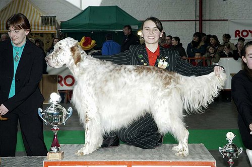 gal/Expo_janvier_2006/DSC_5537.jpg