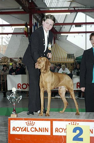 gal/Expo_janvier_2006/DSC_5539.jpg