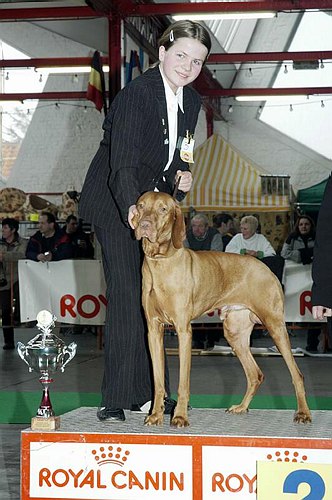 gal/Expo_janvier_2006/DSC_5540.jpg