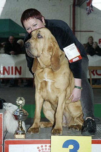 gal/Expo_janvier_2006/DSC_5542.jpg