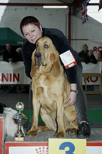 gal/Expo_janvier_2006/DSC_5543.jpg