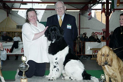 gal/Expo_janvier_2006/DSC_5544.jpg