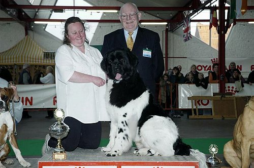 gal/Expo_janvier_2006/DSC_5546.jpg