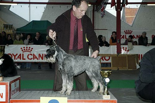 gal/Expo_janvier_2006/DSC_5558.jpg