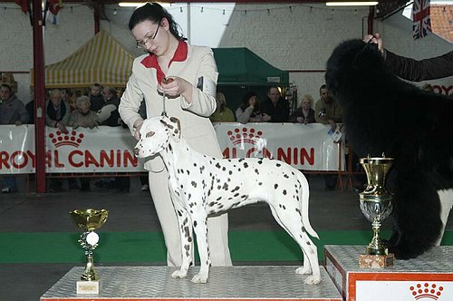 gal/Expo_janvier_2006/DSC_5562.jpg