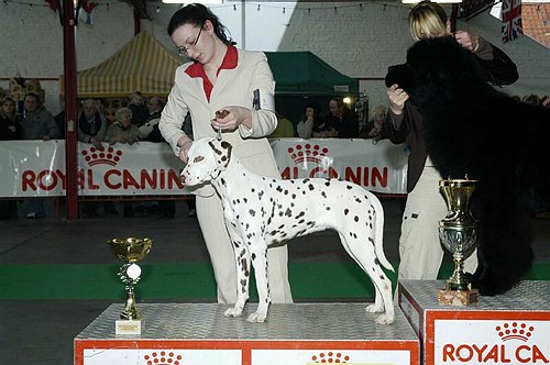 gal/Expo_janvier_2006/DSC_5563.jpg