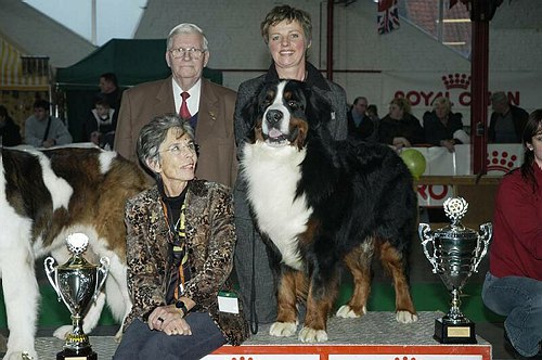 gal/Expo_janvier_2006/DSC_5582.jpg