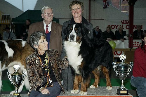 gal/Expo_janvier_2006/DSC_5583.jpg