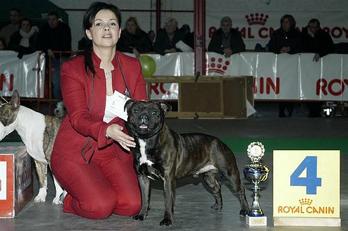 gal/Expo_janvier_2006/DSC_5587.jpg