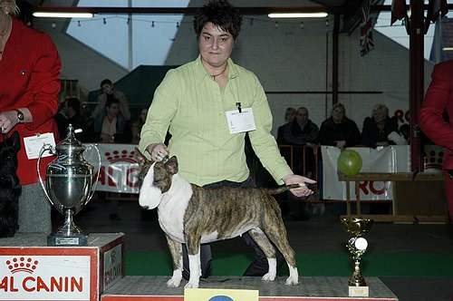 gal/Expo_janvier_2006/DSC_5589.jpg