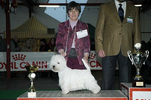 gal/Expo_janvier_2006/DSC_5598.jpg