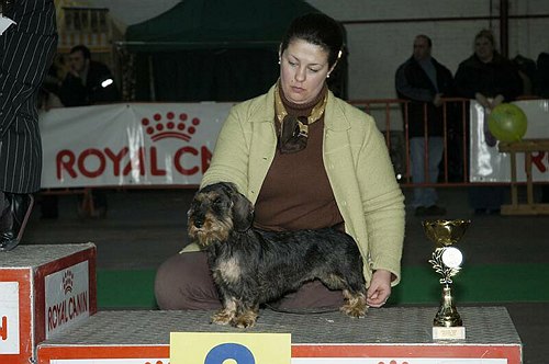 gal/Expo_janvier_2006/DSC_5603.jpg