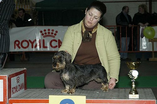 gal/Expo_janvier_2006/DSC_5604.jpg