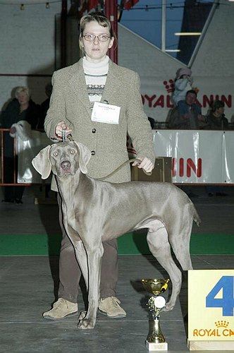 gal/Expo_janvier_2006/DSC_5625.jpg