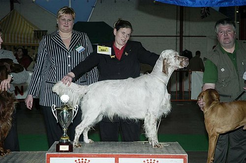 gal/Expo_janvier_2006/DSC_5632.jpg