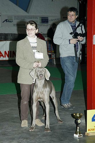 gal/Expo_janvier_2006/DSC_5636.jpg