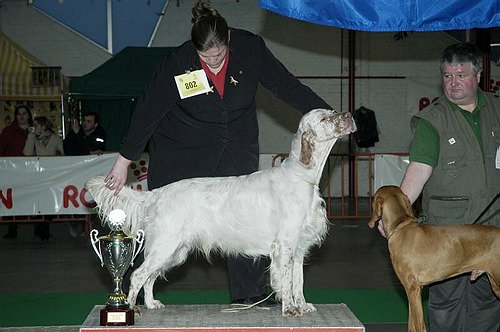 gal/Expo_janvier_2006/DSC_5637.jpg