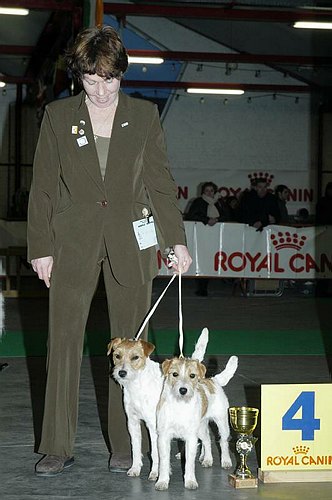 gal/Expo_janvier_2006/DSC_5638.jpg