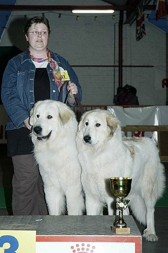 gal/Expo_janvier_2006/DSC_5641.jpg