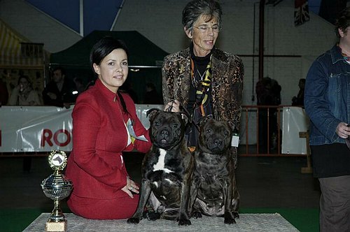 gal/Expo_janvier_2006/DSC_5644.jpg