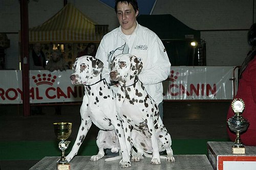 gal/Expo_janvier_2006/DSC_5646.jpg