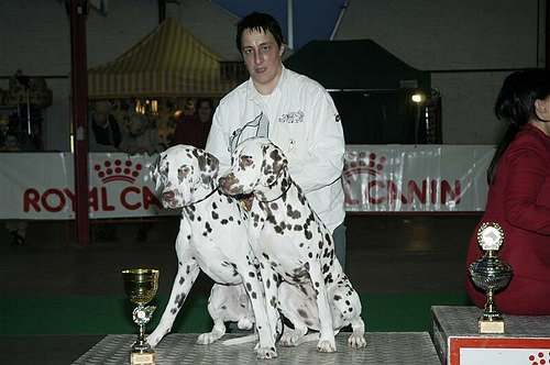 gal/Expo_janvier_2006/DSC_5648.jpg