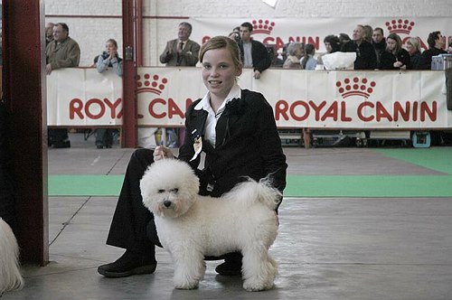 gal/Expo_janvier_2006/DSC_5666.jpg