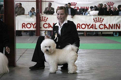 gal/Expo_janvier_2006/DSC_5667.jpg