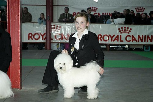 gal/Expo_janvier_2006/DSC_5668.jpg