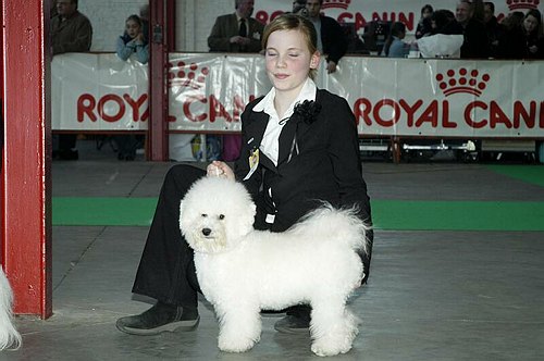 gal/Expo_janvier_2006/DSC_5669.jpg