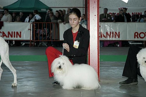 gal/Expo_janvier_2006/DSC_5670.jpg