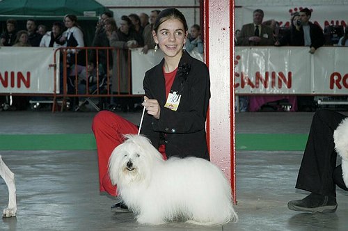 gal/Expo_janvier_2006/DSC_5671.jpg