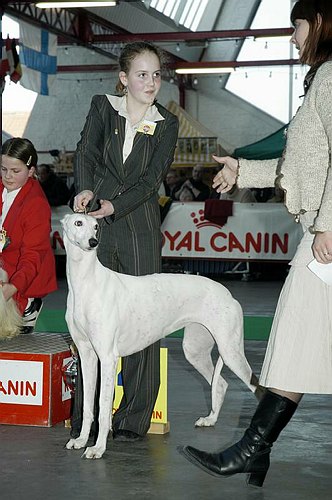 gal/Expo_janvier_2006/DSC_5672.jpg