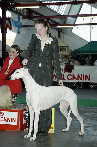 gal/Expo_janvier_2006/DSC_5673.jpg