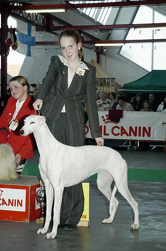 gal/Expo_janvier_2006/DSC_5674.jpg