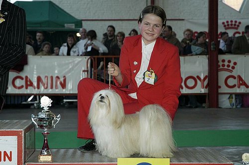 gal/Expo_janvier_2006/DSC_5676.jpg