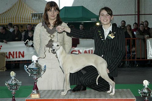 gal/Expo_janvier_2006/DSC_5677.jpg