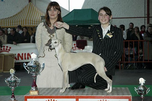 gal/Expo_janvier_2006/DSC_5678.jpg