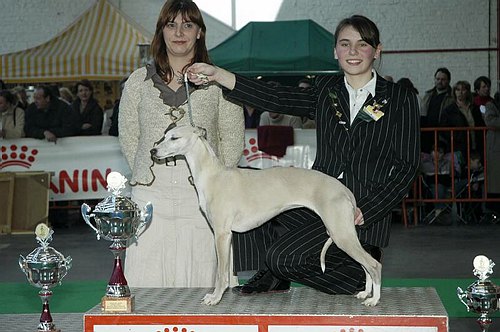 gal/Expo_janvier_2006/DSC_5679.jpg