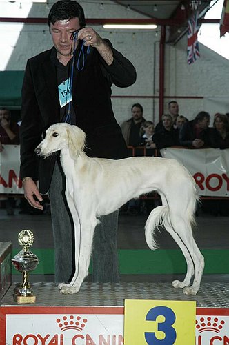 gal/Expo_janvier_2006/DSC_5687.jpg