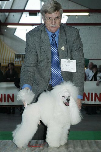 gal/Expo_janvier_2006/DSC_5701.jpg