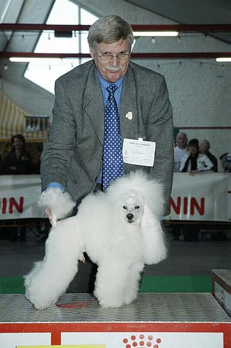 gal/Expo_janvier_2006/DSC_5703.jpg