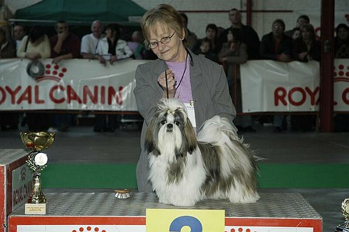 gal/Expo_janvier_2006/DSC_5708.jpg