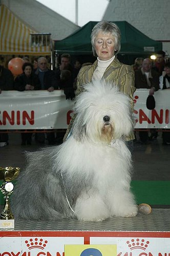 gal/Expo_janvier_2006/DSC_5731.jpg