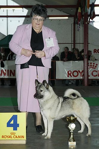 gal/Expo_janvier_2006/DSC_5740.jpg