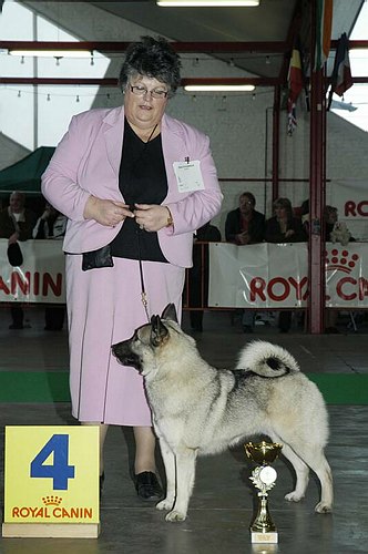 gal/Expo_janvier_2006/DSC_5741.jpg