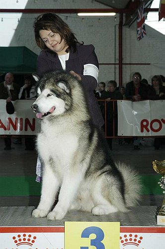 gal/Expo_janvier_2006/DSC_5742.jpg