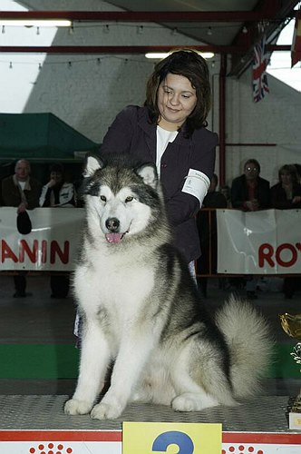 gal/Expo_janvier_2006/DSC_5743.jpg