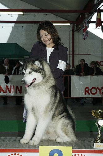 gal/Expo_janvier_2006/DSC_5744.jpg